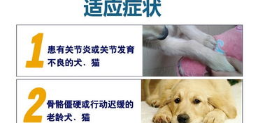 瑞士森巴 鲨骨素5g 袋 10袋盒装 强化犬猫的关节韧带预防骨质疏松